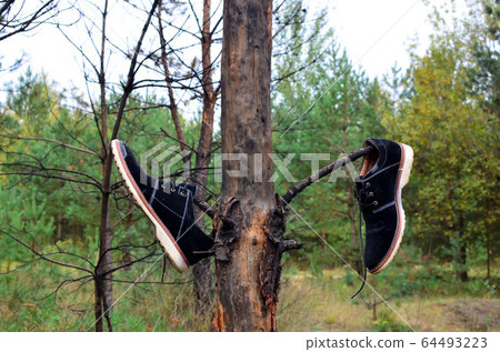 A pair of man's shoes hanging on a tree in the forest 64493223