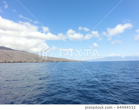 Dolphin of Hawaii Dolphin of Hawaii 64494532