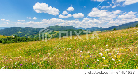 summer scenery of mountainous countryside. alpine 64494638