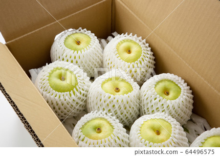 Pear Fruit Fruit Japanese pear None Pear Japanese pear Pear Fruit Fruit Japanese pear None Pear Japanese pear 64496575