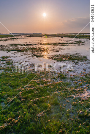 Scenery of Hokkaido (Spring Country) Scenery of Hokkaido (Spring Country) 64498631