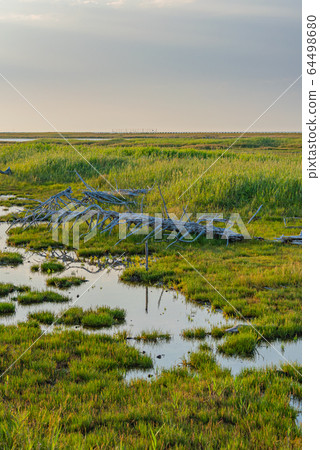 Scenery of Hokkaido (Spring Country) Scenery of Hokkaido (Spring Country) 64498680