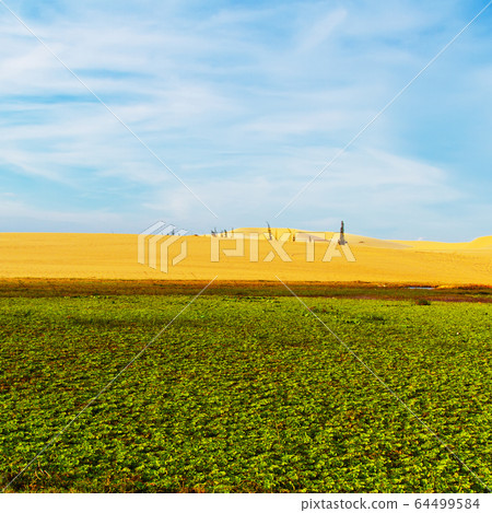 Landscape 64499584