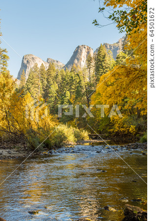 Merced River seen from Valley View Point in Yosemite National Park, California, USA 64501672