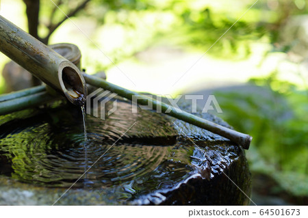 新鮮的綠色shishido 64501673