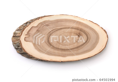 Tree trunk cross section Tree trunk cross section 64501994