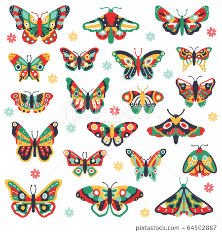 Hand drawn butterflies. Doodle colorful flying butterfly, cute drawing insects. Flower spring papillon vector illustration icons set 64502887