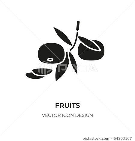 Fruits glyph icon citrus mandarin slice vector 64503167