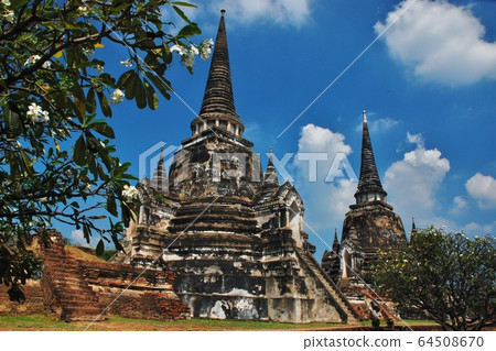泰國世界遺產大城府歷史公園 64508670