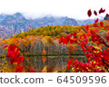 Fall mirror pond 64509596