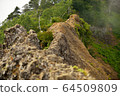 Togakushi Mountain Ant Tower Crossing 64509809