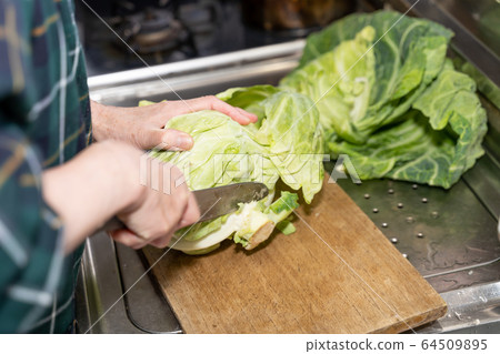 Senior woman cutting cabbage Senior woman cutting cabbage 64509895