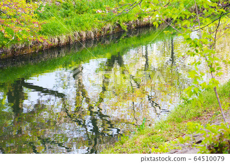 River River 64510079