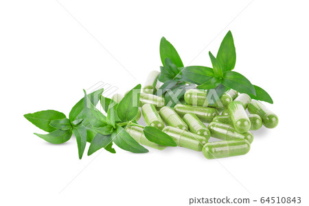 Andrographis paniculata capsule on white Andrographis paniculata capsule on white 64510843