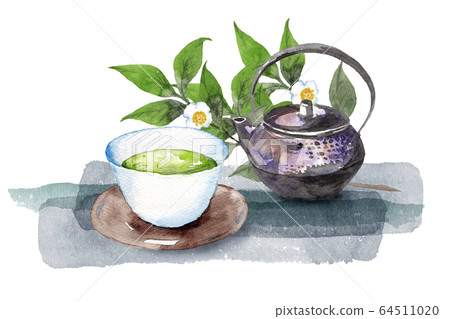 Japanese tea and tea tree 64511020