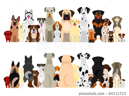 前後一組狗 64512723