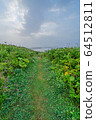 Scenery of Hokkaido (wone motochasi trace) 64512811