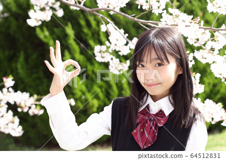 確定標誌學生櫻花 64512831