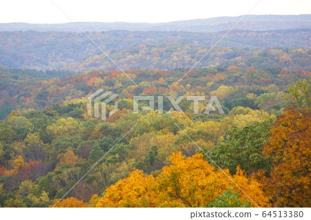 Autumn Leaves of Brown Country State Park, Indiana, USA Autumn Leaves of Brown Country State Park, Indiana, USA 64513380