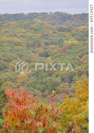 Autumn Leaves of Brown Country State Park, Indiana, USA 64513427