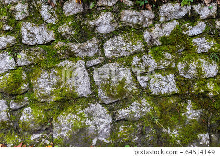 Wall of arranged rocks covered by moss. 64514149