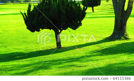 Landscape of golf course 64515366