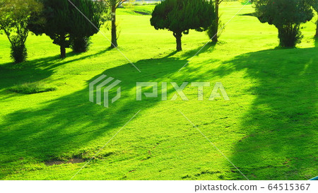 Landscape of golf course 64515367