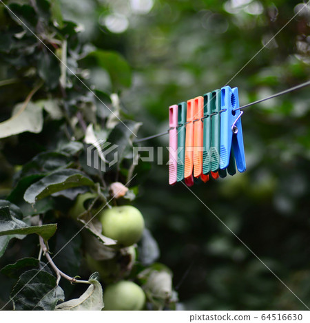 Clothespins on a rope hanging outside house and 64516630