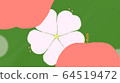 Apple flowers 64519472