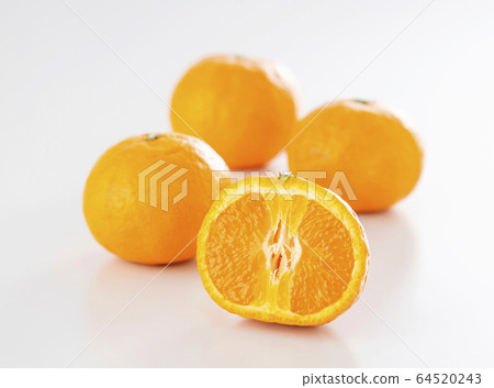 卡拉柑橘子 64520243