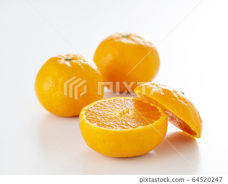 卡拉柑橘子 卡拉柑橘子 64520247