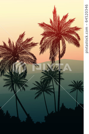 Natural Coconut trees. Mountains horizon hills. Silhouettes of palm trees and hills. Sunrise and sunset. Landscape wallpaper. Illustration vector style. Colorful view background. 64520346