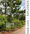 園林景觀 64520826