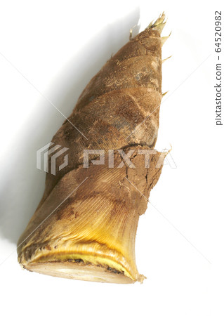 Bamboo shoot with bamboo shoots Bamboo shoot with bamboo shoots 64520982