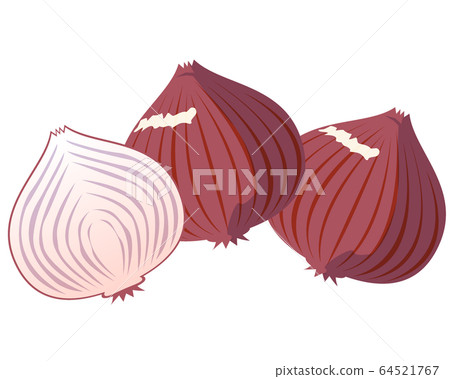 Vegetables onion 64521767