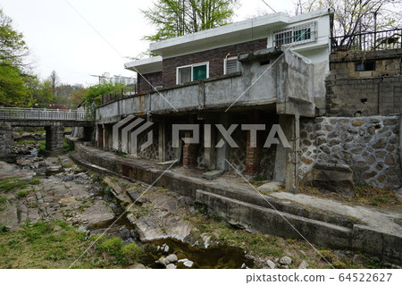 Seongbuk-gu. Jeongneung-dong. Spring flowers 64522627