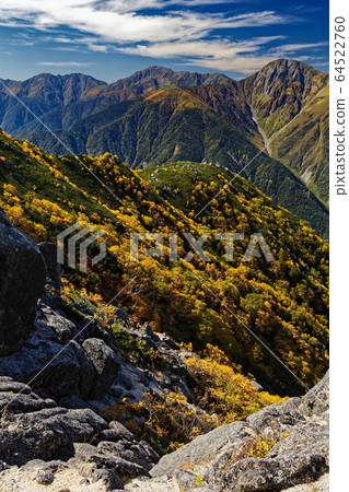 南阿爾卑斯山的樺樺和白amine山的黃葉 64522760