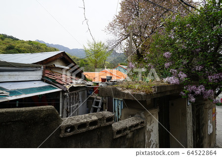 城北區正陵洞春天 城北區正陵洞春天 64522864