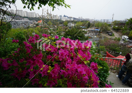 Seongbuk-gu, Jeongneung-dong. Spring Seongbuk-gu, Jeongneung-dong. Spring 64522889