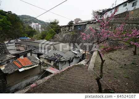 Seongbuk-gu. Jeongneung-dong. Bom-i 64524107