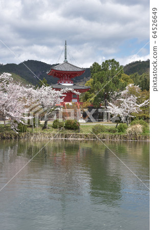 Ozawa Pond in Spring 64526649