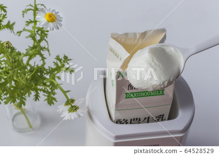 Yogurt_yogurt maker 64528529