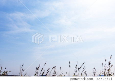 Sky and Spring Grass _ Hurghaya 64528541