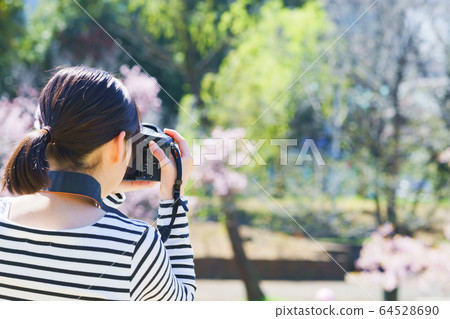 Camera Camera Girls Digital camera Single-lens camera Shooting club activities Photographers Hobbies Hobbies Hobbies Hobbies 64528690