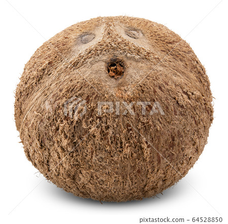 coconut isolated on white clipping path coconut isolated on white clipping path 64528850