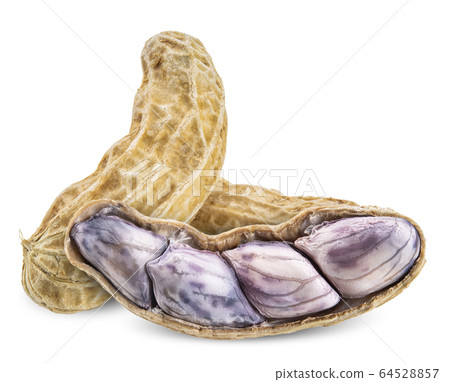 peanut isolated on white clipping path peanut isolated on white clipping path 64528857