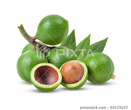 macadamia nuts on white background. full depth of field 64529287
