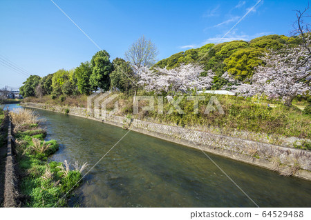 Aichi Prefecture Komaki City Komaki Mountain Aisegawa Aichi Prefecture Komaki City Komaki Mountain Aisegawa 64529488