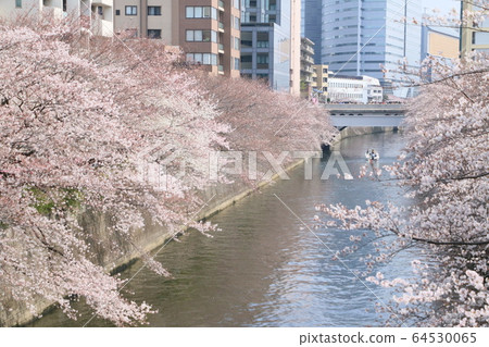 這個城市的春天 這個城市的春天 64530065