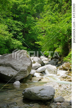 Oshirakawa Valley (Hokuto City, Yamanashi Prefecture) Oshirakawa Valley (Hokuto City, Yamanashi Prefecture) 64530900